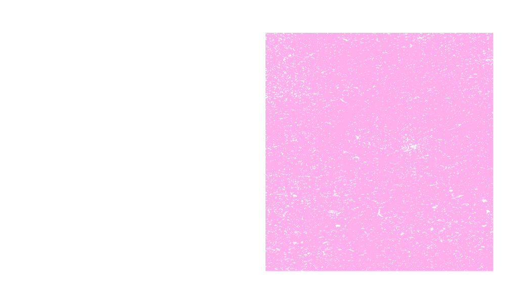 Tarjeta de Presentacion